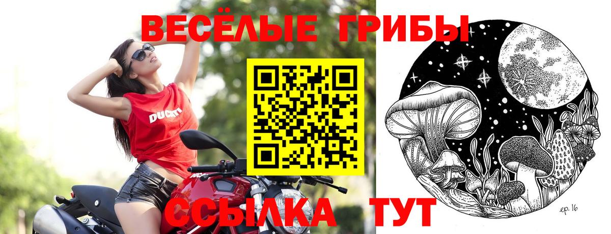Галлюциногенные грибы мицелий  Вход с VPN  где продают наркотики  Топки 