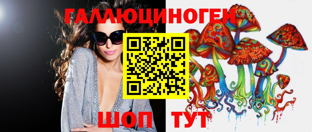 Галлюциногенные грибы Psilocybe Топки